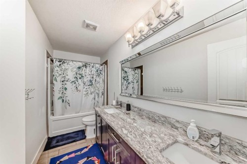 388 Kinniburgh Boulevard, Chestermere, AB - Indoor Photo Showing Bathroom