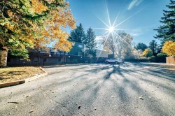 210-1001 68 Avenue SW Calgary, AB T2V 4X1