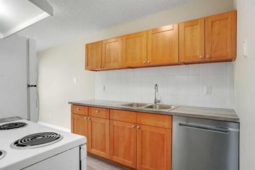 1123 Mckinnon Drive Ne, Calgary, AB - Indoor Photo Showing Kitchen With Double Sink