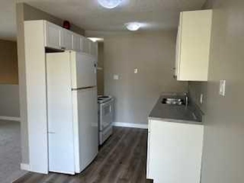 1123 Mckinnon Drive Ne, Calgary, AB - Indoor Photo Showing Kitchen