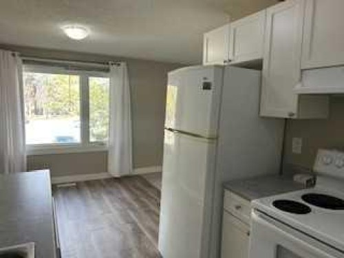 1123 Mckinnon Drive Ne, Calgary, AB - Indoor Photo Showing Kitchen