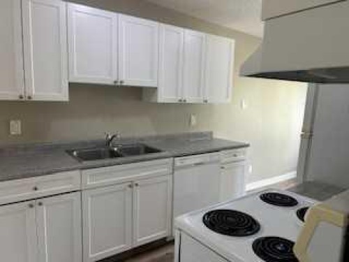 1123 Mckinnon Drive Ne, Calgary, AB - Indoor Photo Showing Kitchen With Double Sink