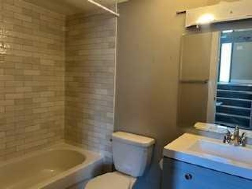 1123 Mckinnon Drive Ne, Calgary, AB - Indoor Photo Showing Bathroom