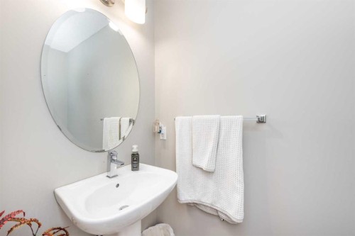 247 Taralake Way Ne, Calgary, AB - Indoor Photo Showing Bathroom