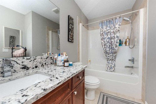 247 Taralake Way Ne, Calgary, AB - Indoor Photo Showing Bathroom