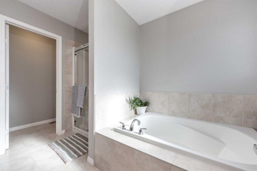 247 Taralake Way Ne, Calgary, AB - Indoor Photo Showing Bathroom