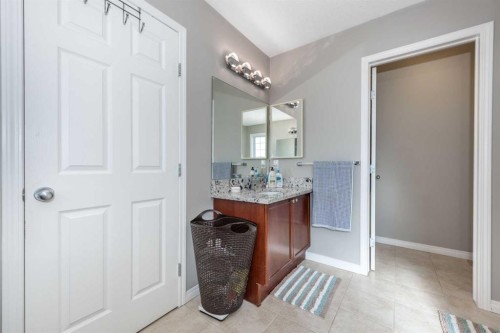 247 Taralake Way Ne, Calgary, AB - Indoor Photo Showing Bathroom