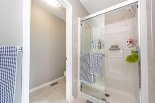 247 Taralake Way Ne, Calgary, AB - Indoor Photo Showing Bathroom