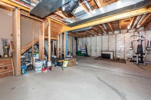 247 Taralake Way Ne, Calgary, AB - Indoor Photo Showing Basement