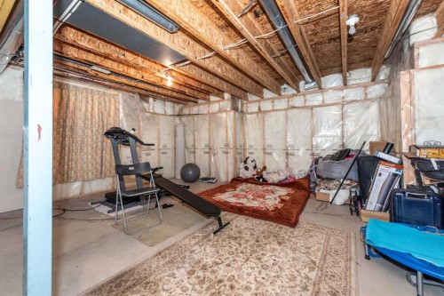 247 Taralake Way Ne, Calgary, AB - Indoor Photo Showing Basement