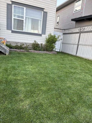 247 Taralake Way Ne, Calgary, AB - Outdoor