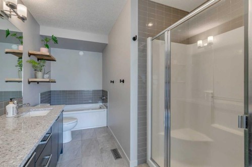144 Masters Link Se, Calgary, AB - Indoor Photo Showing Bathroom