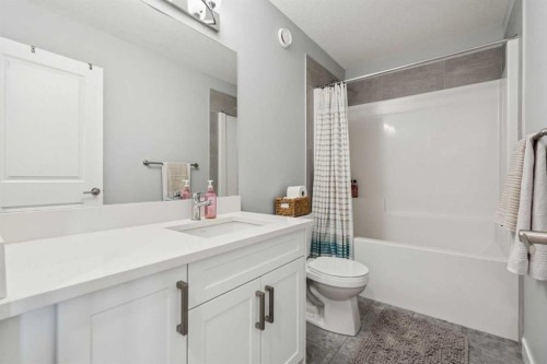 504 Creekrun Lane Sw, Airdrie, AB - Indoor Photo Showing Bathroom