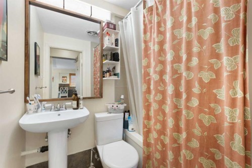 404-1027 12 Avenue Sw, Calgary, AB - Indoor Photo Showing Bathroom