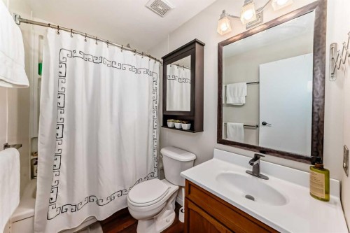 56 Applecroft Road Se, Calgary, AB - Indoor Photo Showing Bathroom
