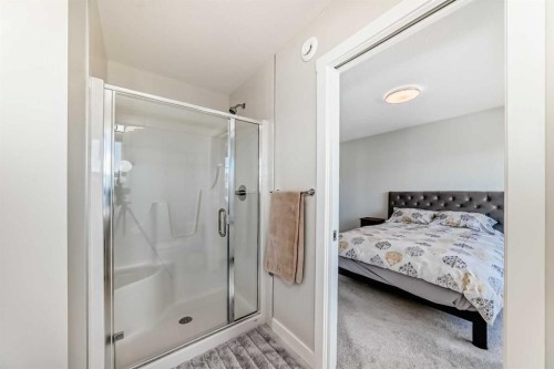 934 Cobblemore Common Sw, Airdrie, AB - Indoor Photo Showing Bathroom