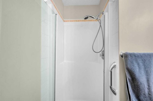 65 Tararidge Circle Ne, Calgary, AB - Indoor Photo Showing Bathroom