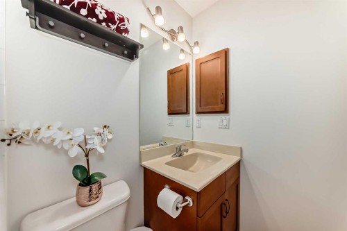 201 Cranberry Square Se, Calgary, AB - Indoor Photo Showing Bathroom