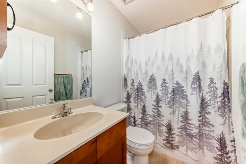 201 Cranberry Square Se, Calgary, AB - Indoor Photo Showing Bathroom