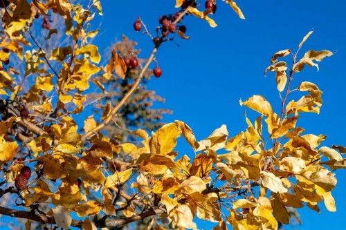 118 Sienna Hills Drive Sw, Calgary, AB - Indoor Photo Showing Other Room