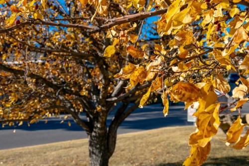 118 Sienna Hills Drive Sw, Calgary, AB - Indoor