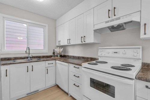 7840 21A Street Se, Calgary, AB - Indoor Photo Showing Kitchen With Double Sink