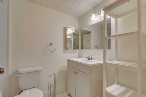 304-2140 17A Street Sw, Calgary, AB - Indoor Photo Showing Bathroom