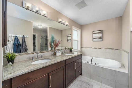 151 Auburn Sound Circle Se, Calgary, AB - Indoor Photo Showing Bathroom