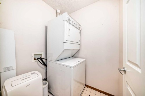306-11 Somervale View Sw, Calgary, AB - Indoor Photo Showing Laundry Room