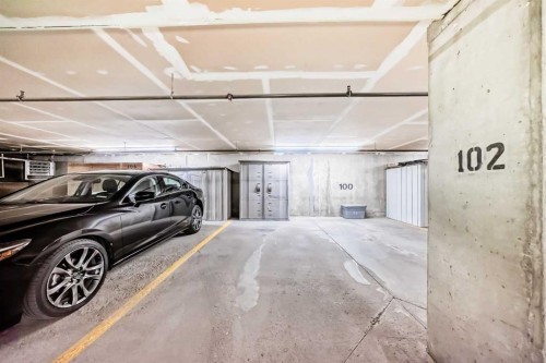 306-11 Somervale View Sw, Calgary, AB - Indoor Photo Showing Garage