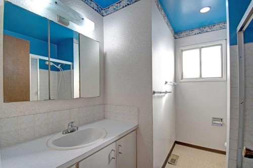 4108 13 Avenue Ne, Calgary, AB - Indoor Photo Showing Bathroom