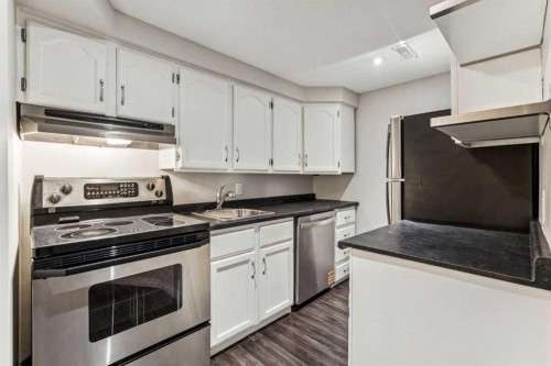 439 Hendon Drive Nw, Calgary, AB - Indoor Photo Showing Kitchen With Stainless Steel Kitchen