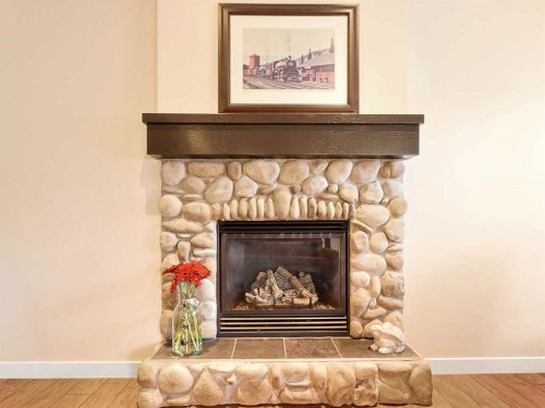 50 Elgin Meadows Green Se, Calgary, AB - Indoor Photo Showing Living Room With Fireplace