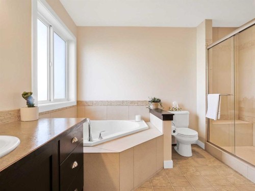50 Elgin Meadows Green Se, Calgary, AB - Indoor Photo Showing Bathroom