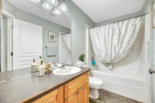 196 Camden Place, Strathmore, AB - Indoor Photo Showing Bathroom