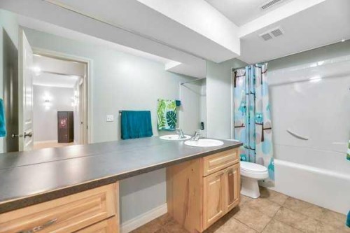 196 Camden Place, Strathmore, AB - Indoor Photo Showing Bathroom