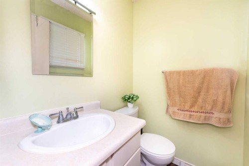 304 Whitefield Drive Ne, Calgary, AB - Indoor Photo Showing Bathroom