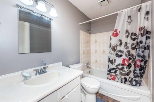 304 Whitefield Drive Ne, Calgary, AB - Indoor Photo Showing Bathroom