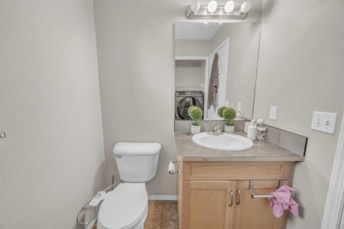 814 Copperfield Boulevard Se, Calgary, AB - Indoor Photo Showing Bathroom
