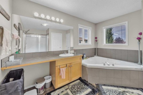 814 Copperfield Boulevard Se, Calgary, AB - Indoor Photo Showing Bathroom