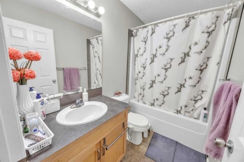814 Copperfield Boulevard Se, Calgary, AB - Indoor Photo Showing Bathroom