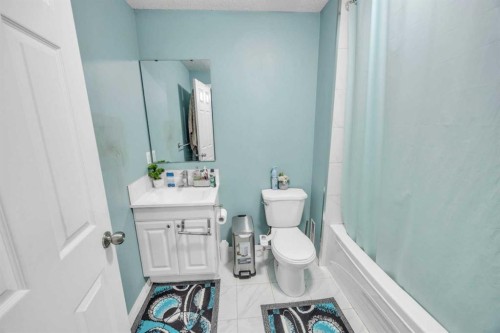 814 Copperfield Boulevard Se, Calgary, AB - Indoor Photo Showing Bathroom