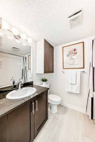 4213-1317 27 Street Se, Calgary, AB - Indoor Photo Showing Bathroom