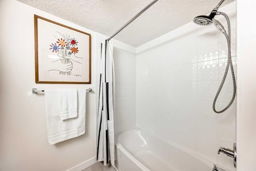 4213-1317 27 Street Se, Calgary, AB - Indoor Photo Showing Bathroom
