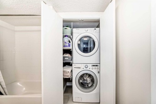 4213-1317 27 Street Se, Calgary, AB - Indoor Photo Showing Laundry Room