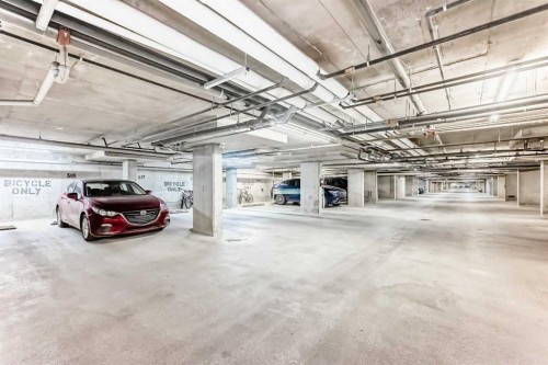 4213-1317 27 Street Se, Calgary, AB - Indoor Photo Showing Garage