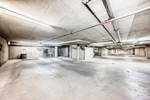 4213-1317 27 Street Se, Calgary, AB - Indoor Photo Showing Garage
