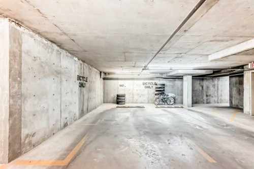 4213-1317 27 Street Se, Calgary, AB - Indoor Photo Showing Garage