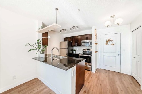 4213-1317 27 Street Se, Calgary, AB - Indoor Photo Showing Kitchen With Double Sink With Upgraded Kitchen