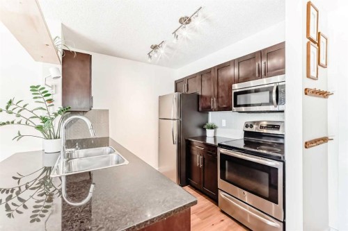 4213-1317 27 Street Se, Calgary, AB - Indoor Photo Showing Kitchen With Double Sink